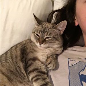 Meet your Posher, Ellie